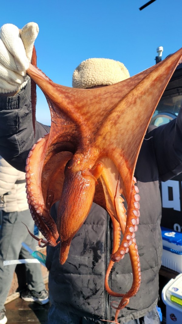 45d412e133e40cd1e6eed641569fe97b_1769760