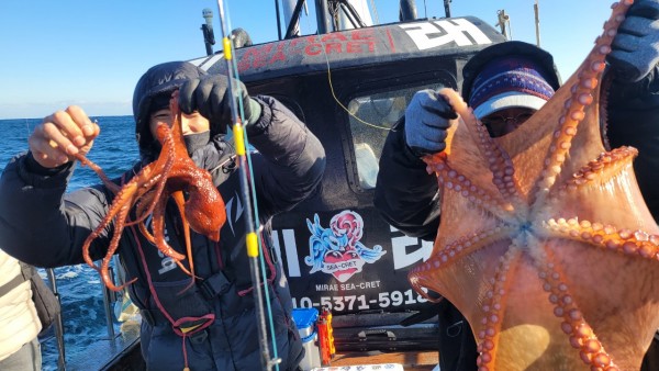 45d412e133e40cd1e6eed641569fe97b_1769760