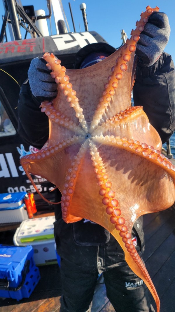 45d412e133e40cd1e6eed641569fe97b_1769760