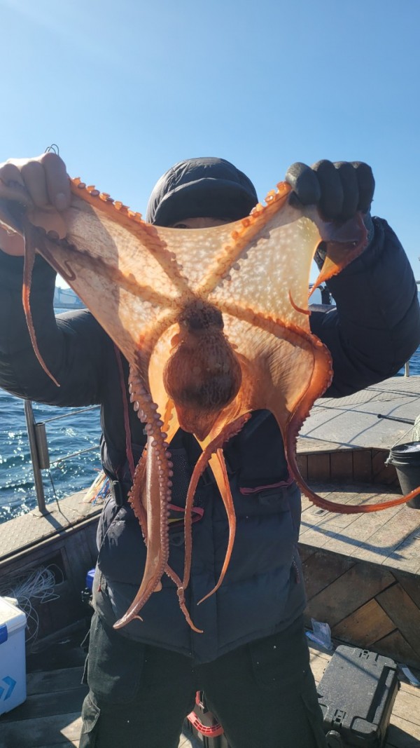 45d412e133e40cd1e6eed641569fe97b_1769760