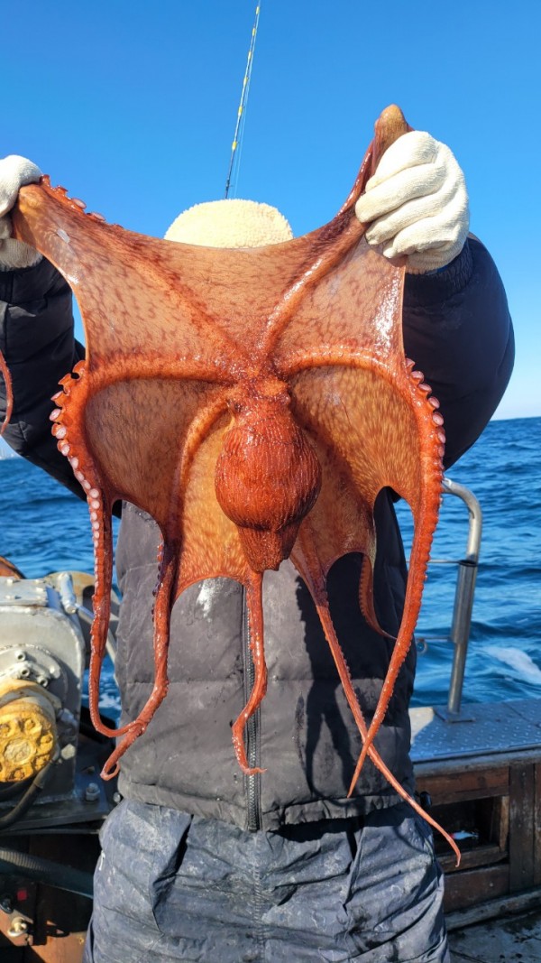 45d412e133e40cd1e6eed641569fe97b_1769760