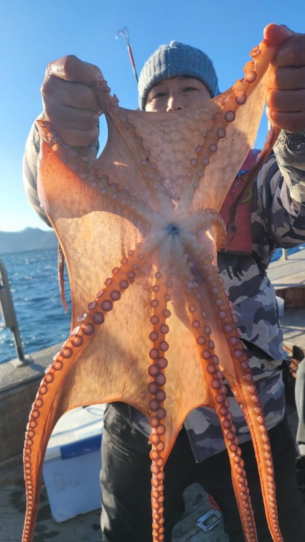 45d412e133e40cd1e6eed641569fe97b_1769760