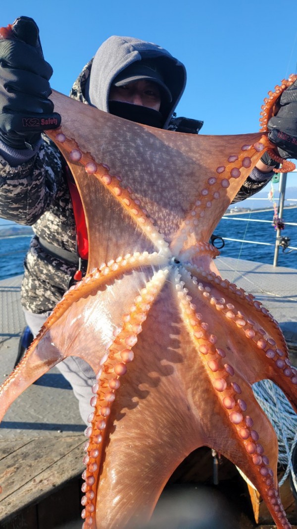 45d412e133e40cd1e6eed641569fe97b_1769760