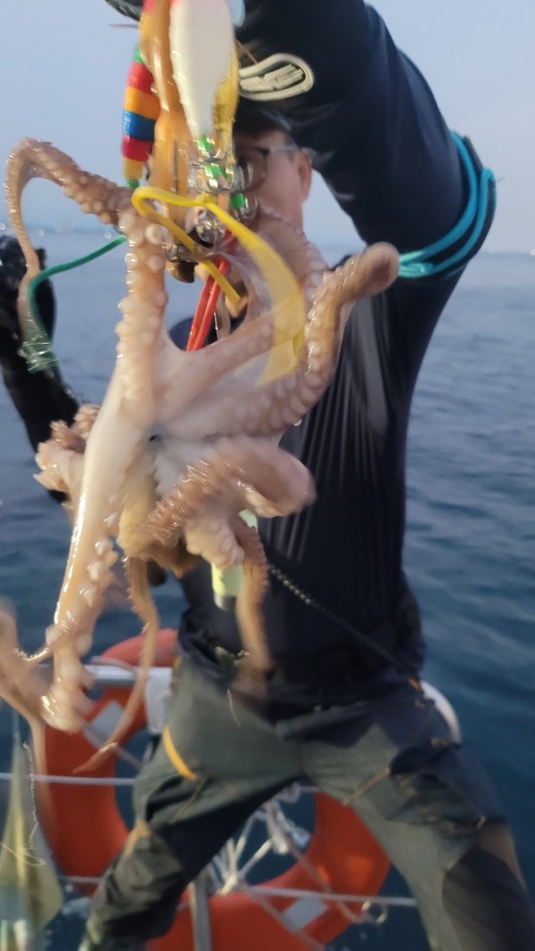 4b146cbc6b35ffe121539e3eda4e0122_1767519