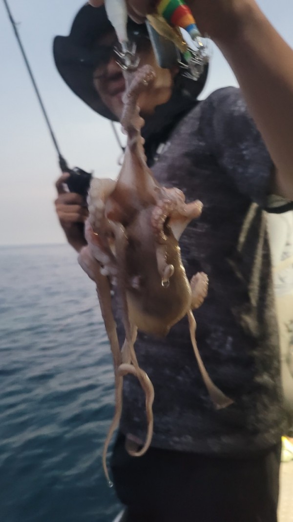 4b146cbc6b35ffe121539e3eda4e0122_1767519