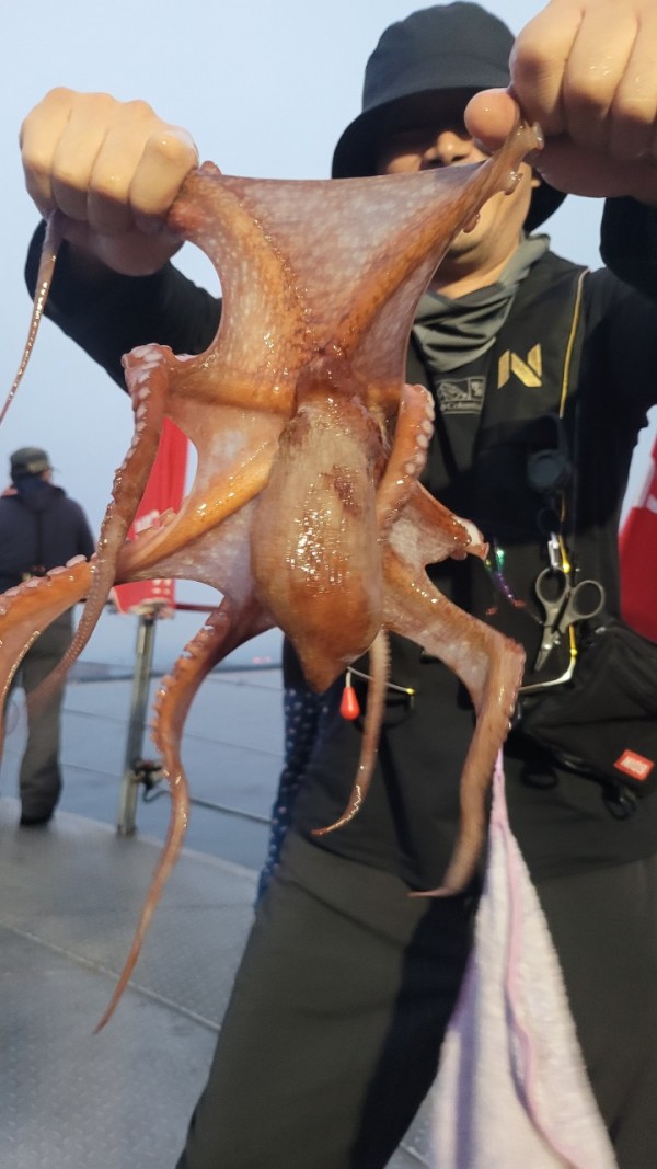 4b146cbc6b35ffe121539e3eda4e0122_1767519