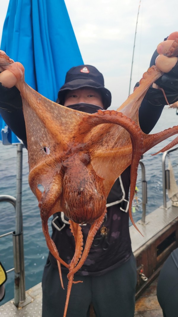 4b146cbc6b35ffe121539e3eda4e0122_1767519