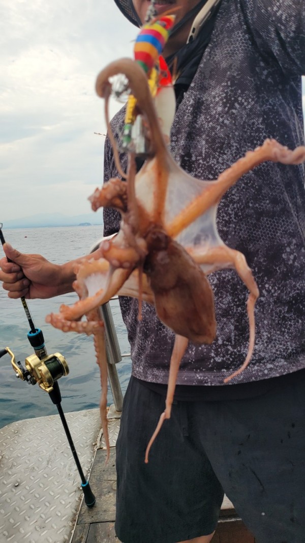 4b146cbc6b35ffe121539e3eda4e0122_1767519