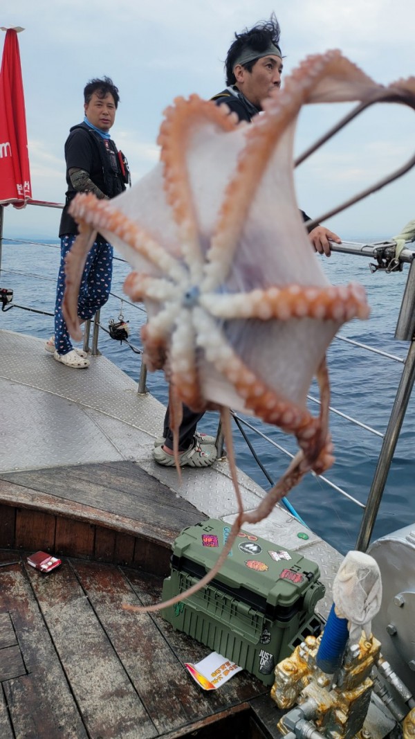 4b146cbc6b35ffe121539e3eda4e0122_1767519