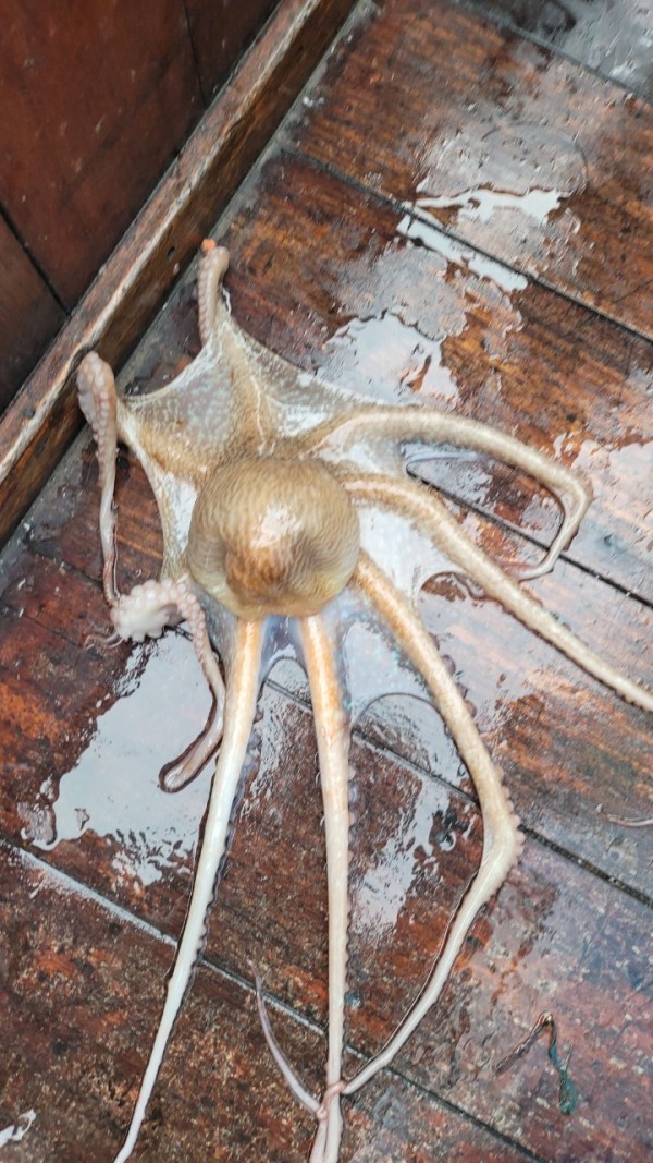 4b146cbc6b35ffe121539e3eda4e0122_1767519