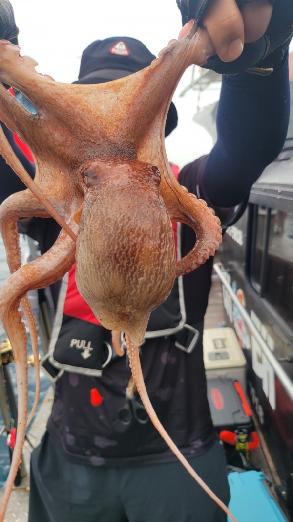 4b146cbc6b35ffe121539e3eda4e0122_1767519