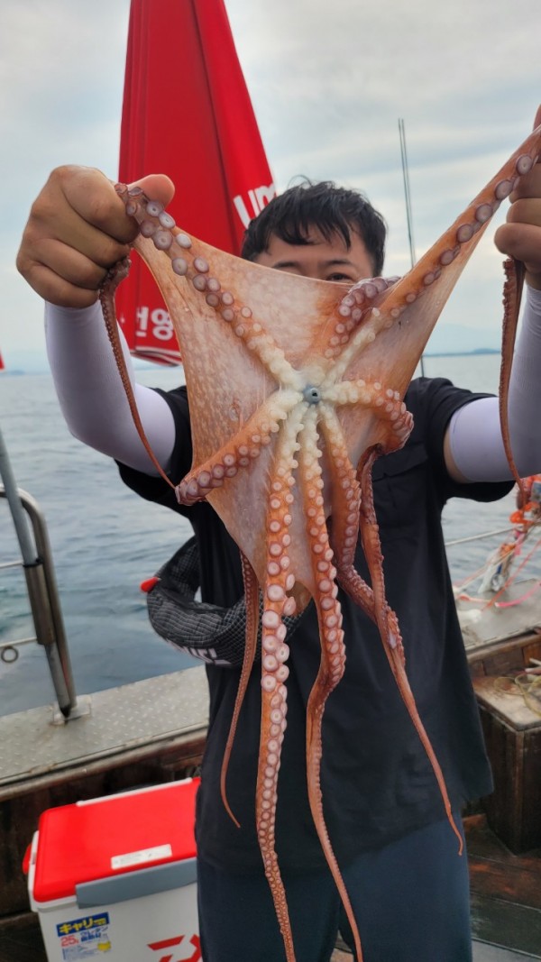 4b146cbc6b35ffe121539e3eda4e0122_1767519