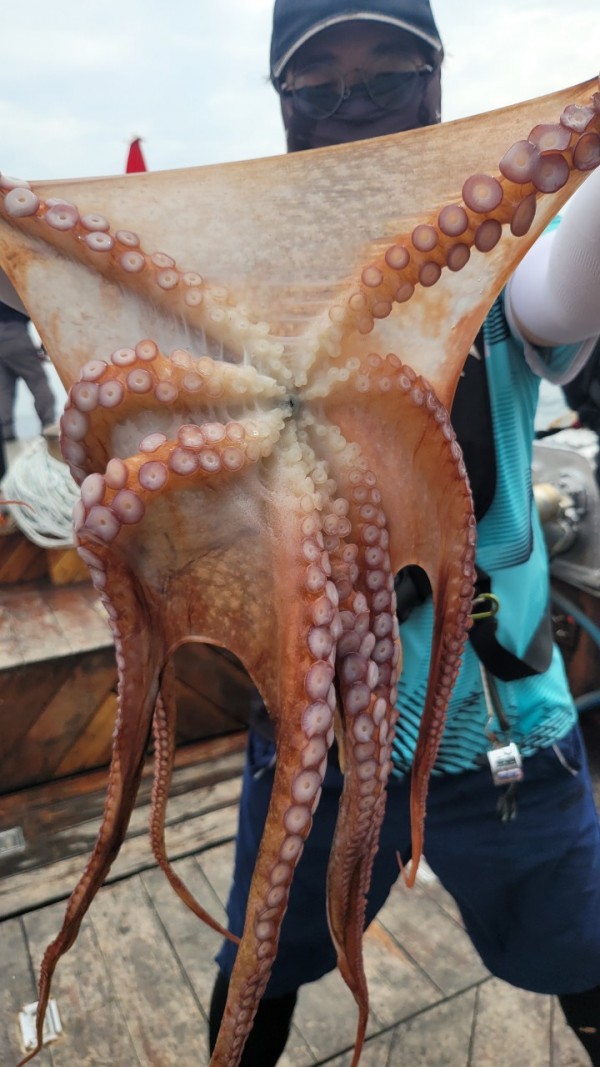 4b146cbc6b35ffe121539e3eda4e0122_1767519