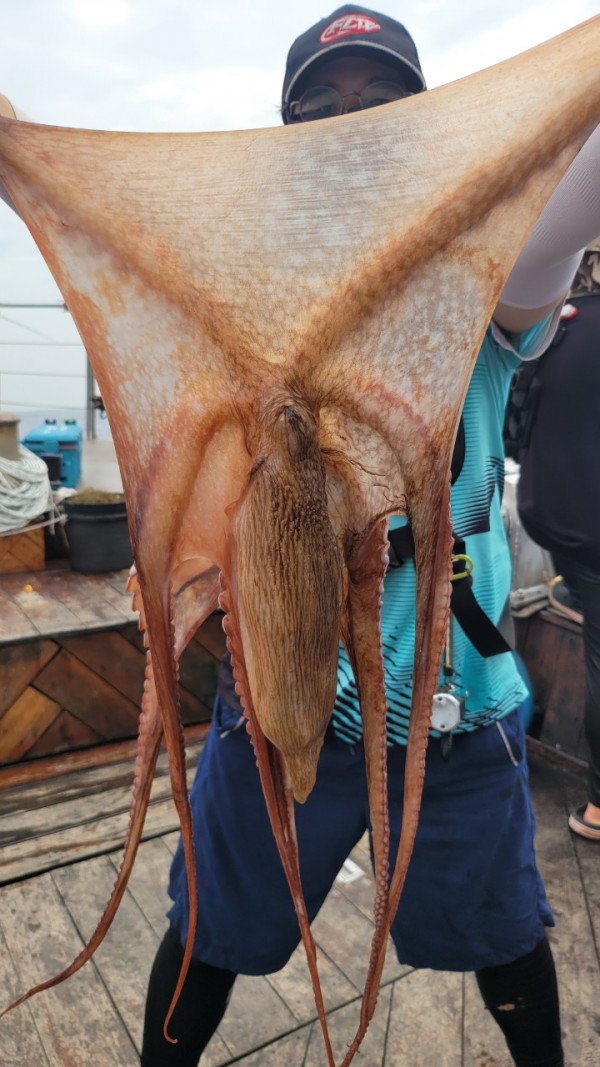 4b146cbc6b35ffe121539e3eda4e0122_1767519