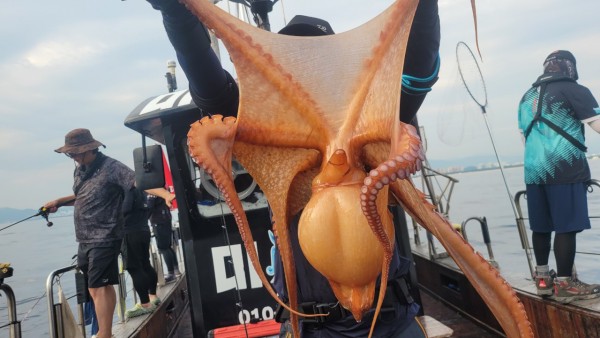 4b146cbc6b35ffe121539e3eda4e0122_1767519