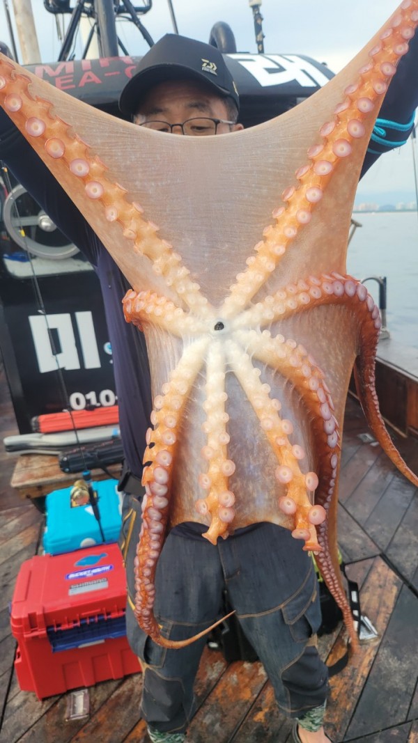 4b146cbc6b35ffe121539e3eda4e0122_1767519