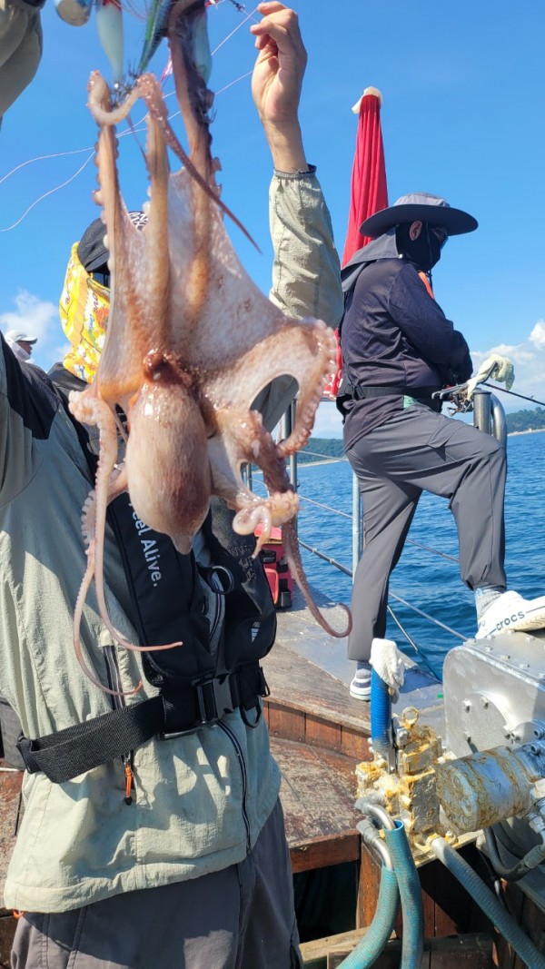 65d83ecff4b23c14fdd0da915451a791_1767518