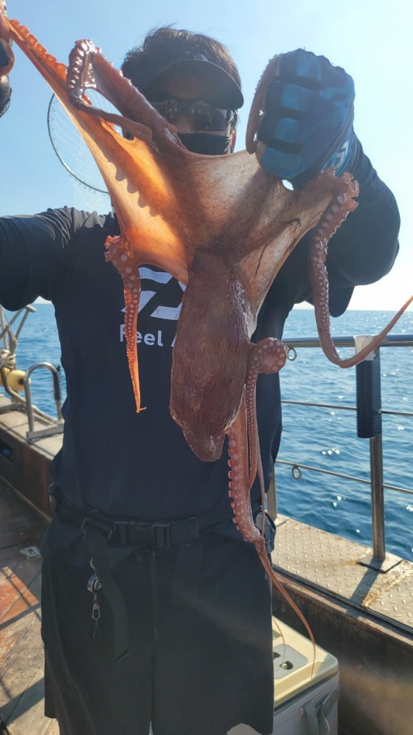 65d83ecff4b23c14fdd0da915451a791_1767518