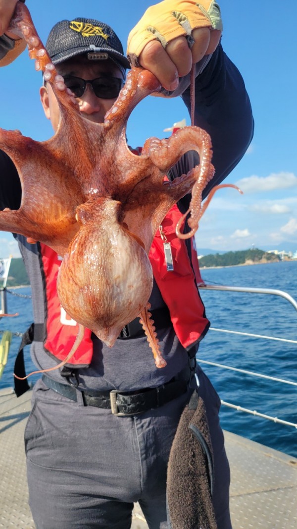 65d83ecff4b23c14fdd0da915451a791_1767518