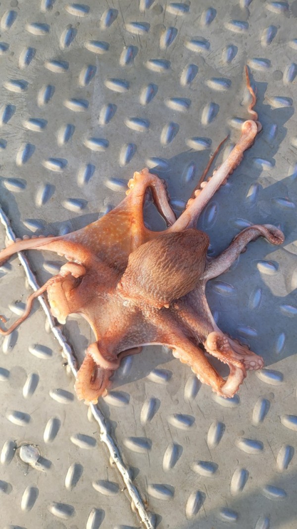 65d83ecff4b23c14fdd0da915451a791_1767518