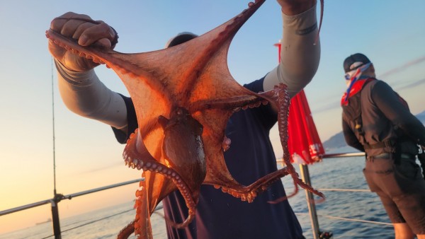 65d83ecff4b23c14fdd0da915451a791_1767518