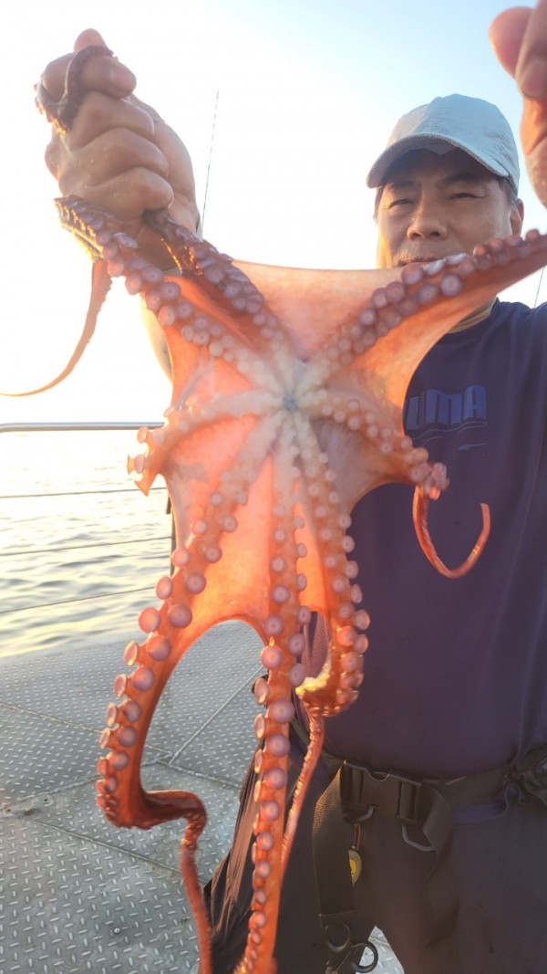 65d83ecff4b23c14fdd0da915451a791_1767518