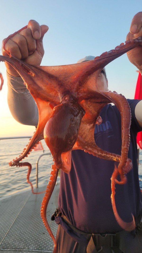 65d83ecff4b23c14fdd0da915451a791_1767518