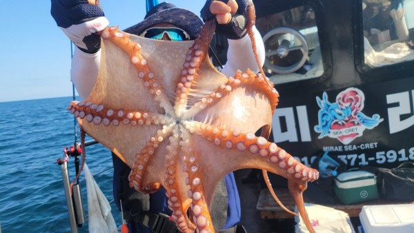 65d83ecff4b23c14fdd0da915451a791_1767518