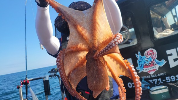 65d83ecff4b23c14fdd0da915451a791_1767518