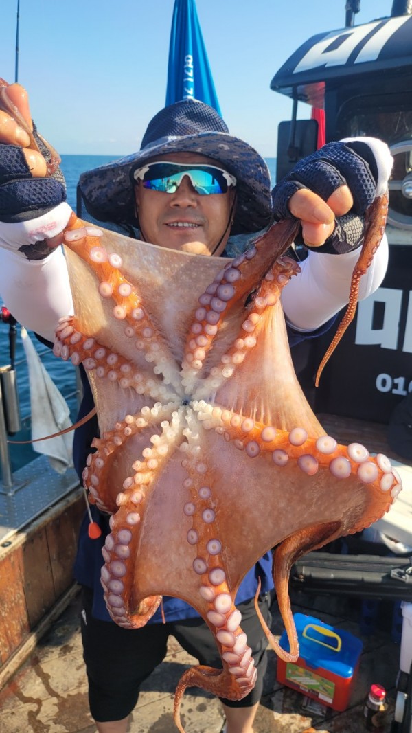 65d83ecff4b23c14fdd0da915451a791_1767518