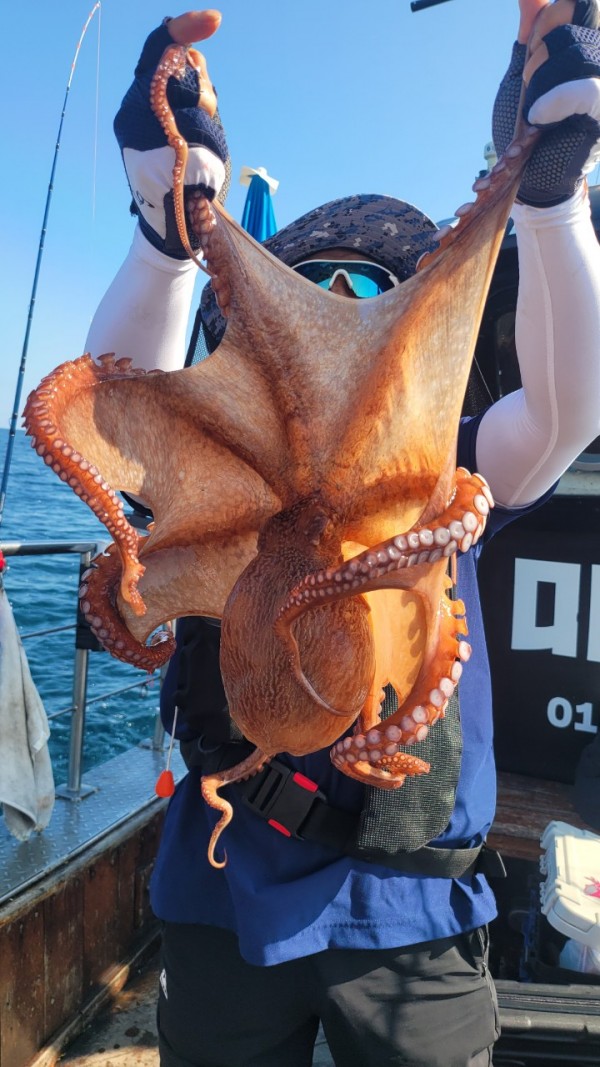 65d83ecff4b23c14fdd0da915451a791_1767518