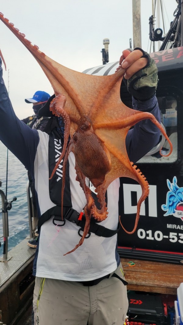 6c28fa61d0a952d9539f2eeda4080231_1767519