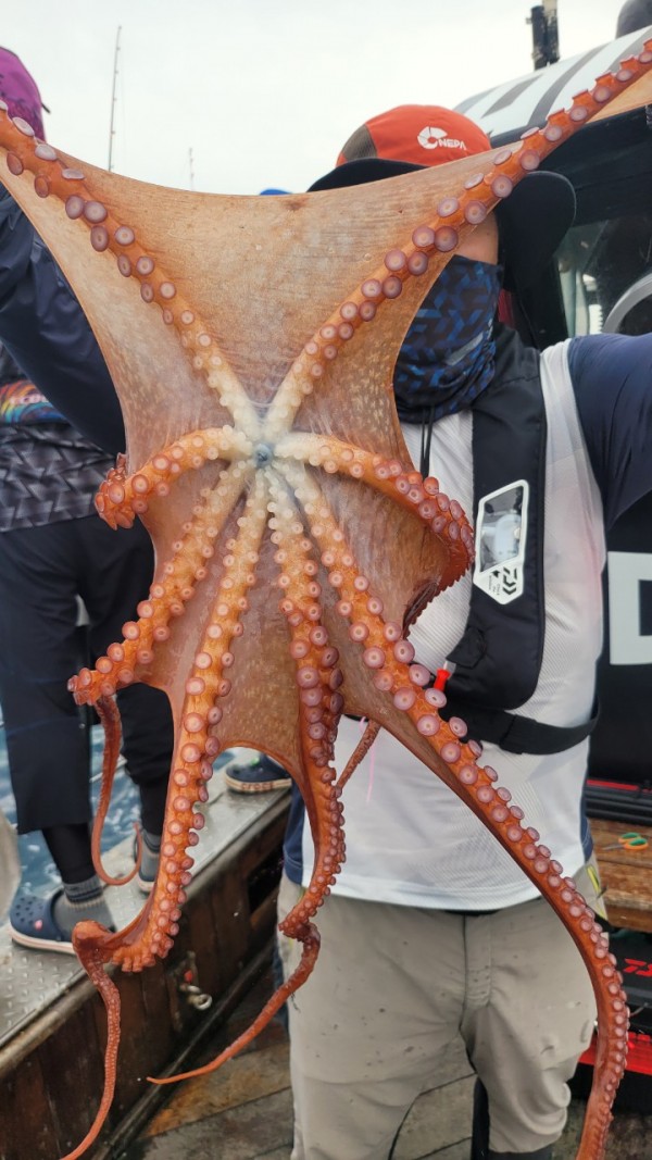 6c28fa61d0a952d9539f2eeda4080231_1767519