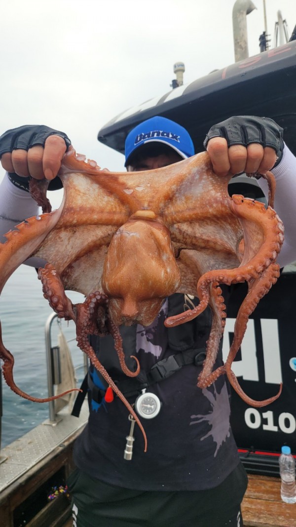 6c28fa61d0a952d9539f2eeda4080231_1767519