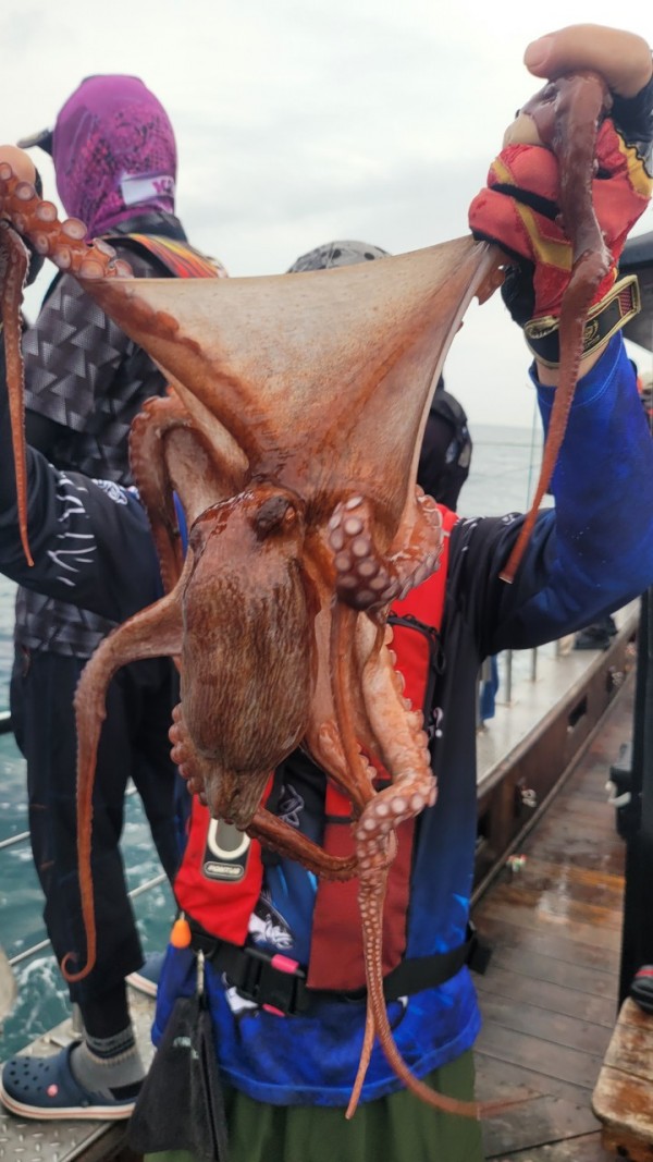 6c28fa61d0a952d9539f2eeda4080231_1767519