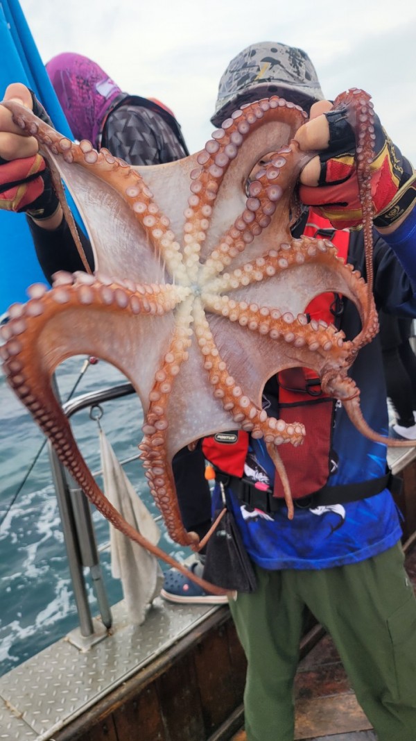 6c28fa61d0a952d9539f2eeda4080231_1767519