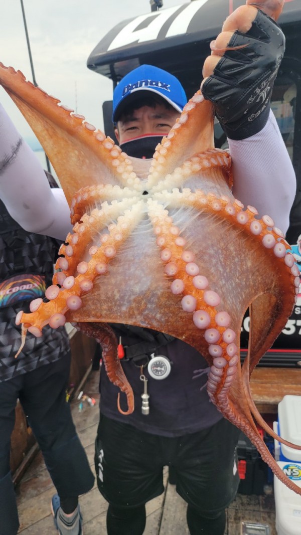 6c28fa61d0a952d9539f2eeda4080231_1767519