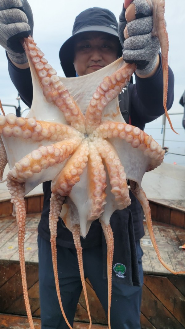 6c28fa61d0a952d9539f2eeda4080231_1767519