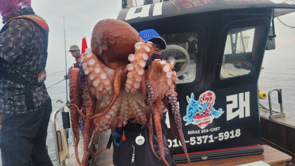 6c28fa61d0a952d9539f2eeda4080231_1767519