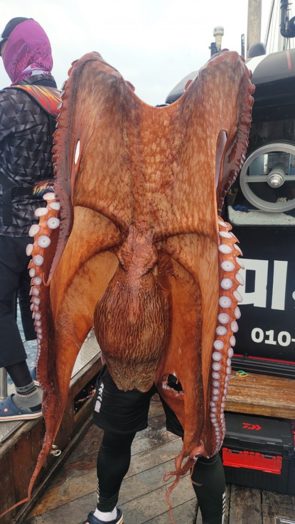 6c28fa61d0a952d9539f2eeda4080231_1767519