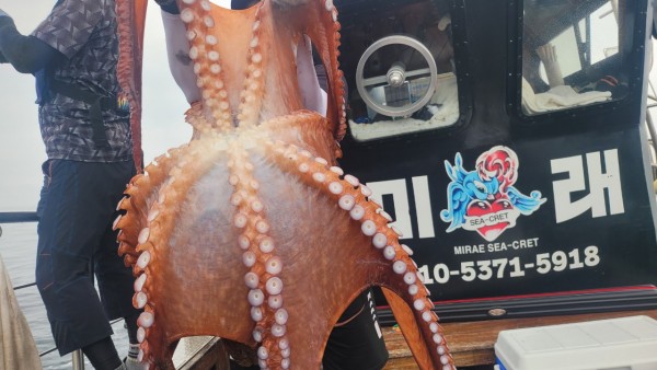 6c28fa61d0a952d9539f2eeda4080231_1767519