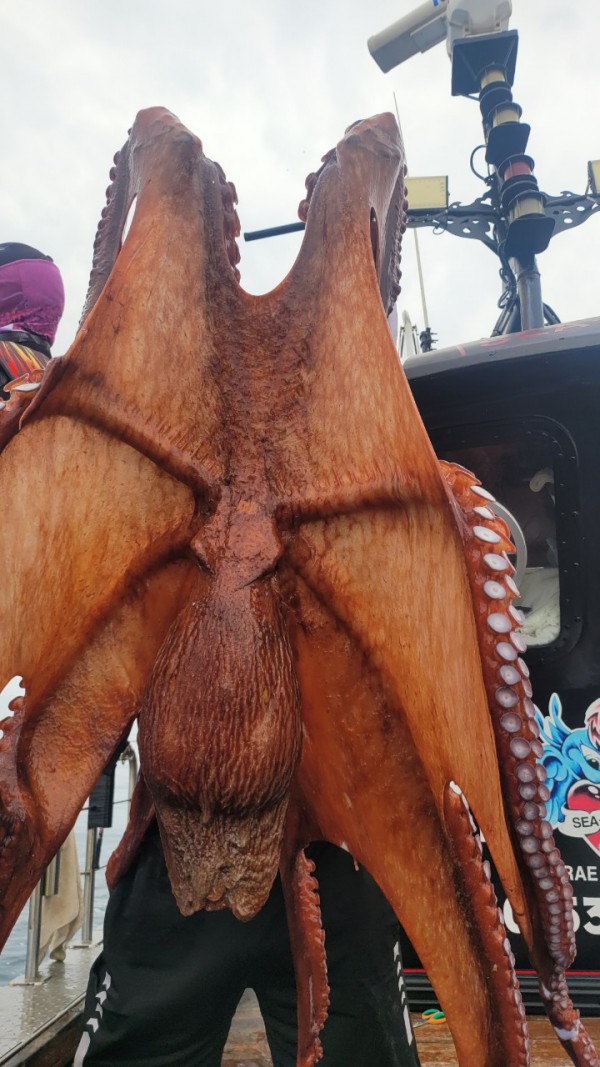 6c28fa61d0a952d9539f2eeda4080231_1767519