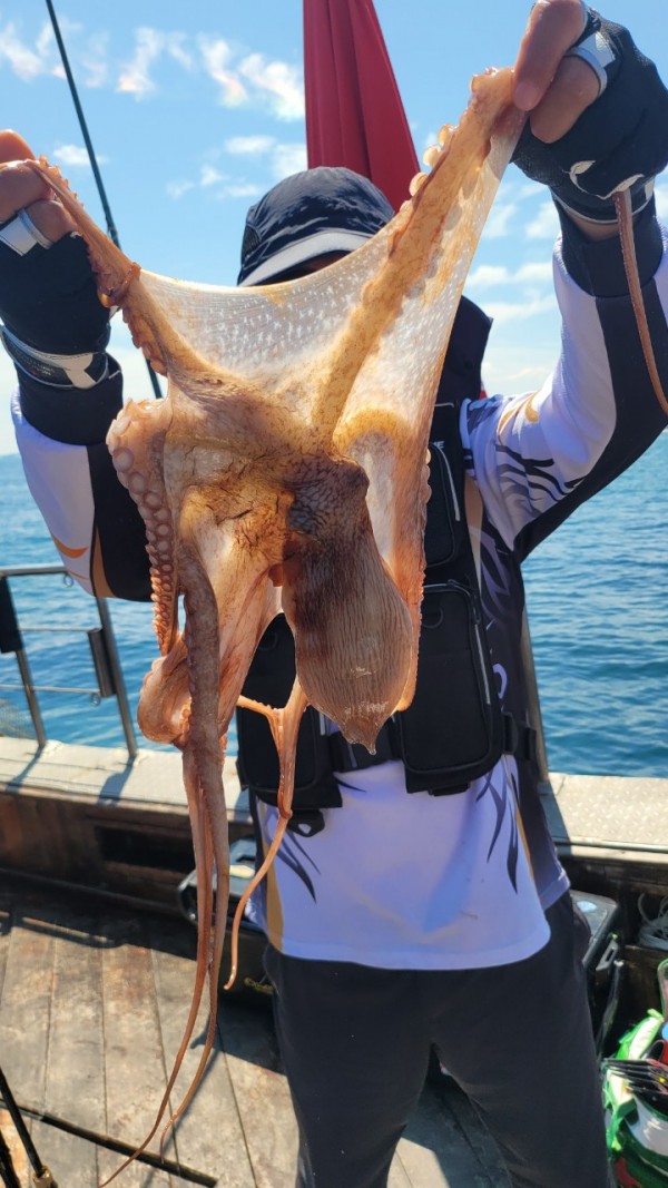 777e9e11768ed33424bed3d28028cbe0_1767519