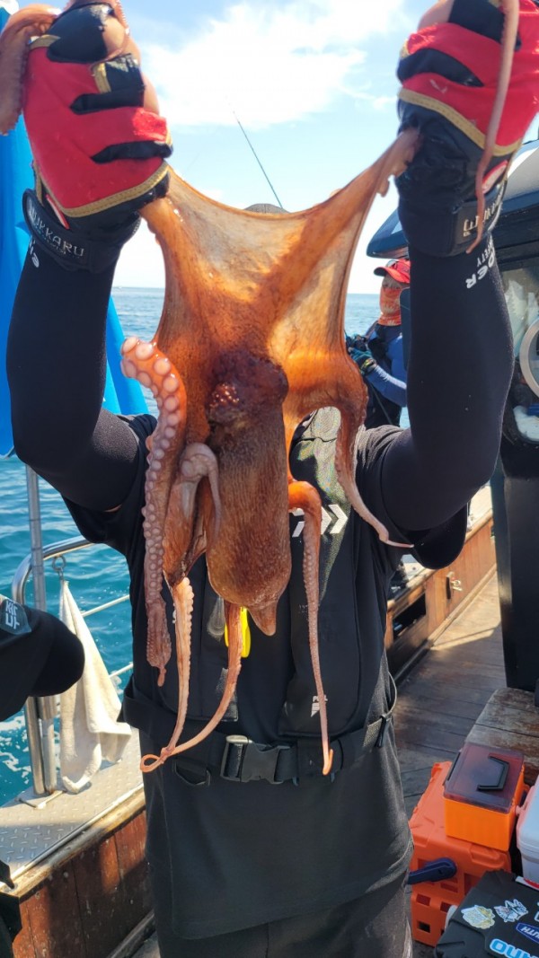 777e9e11768ed33424bed3d28028cbe0_1767519