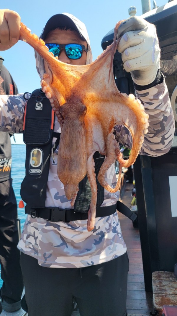 777e9e11768ed33424bed3d28028cbe0_1767519