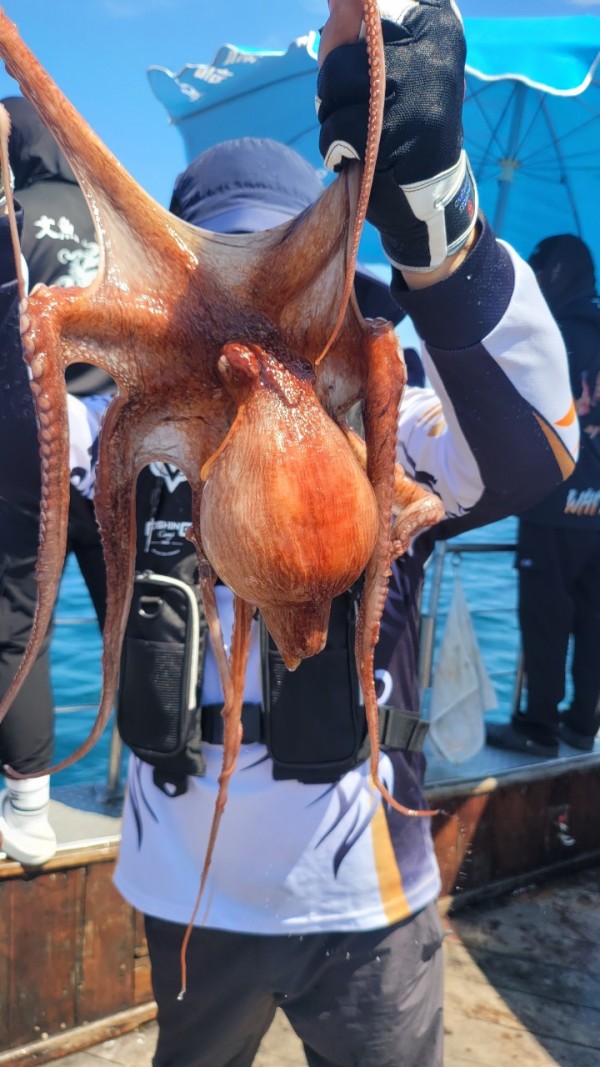 777e9e11768ed33424bed3d28028cbe0_1767519