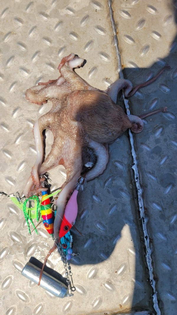 777e9e11768ed33424bed3d28028cbe0_1767519