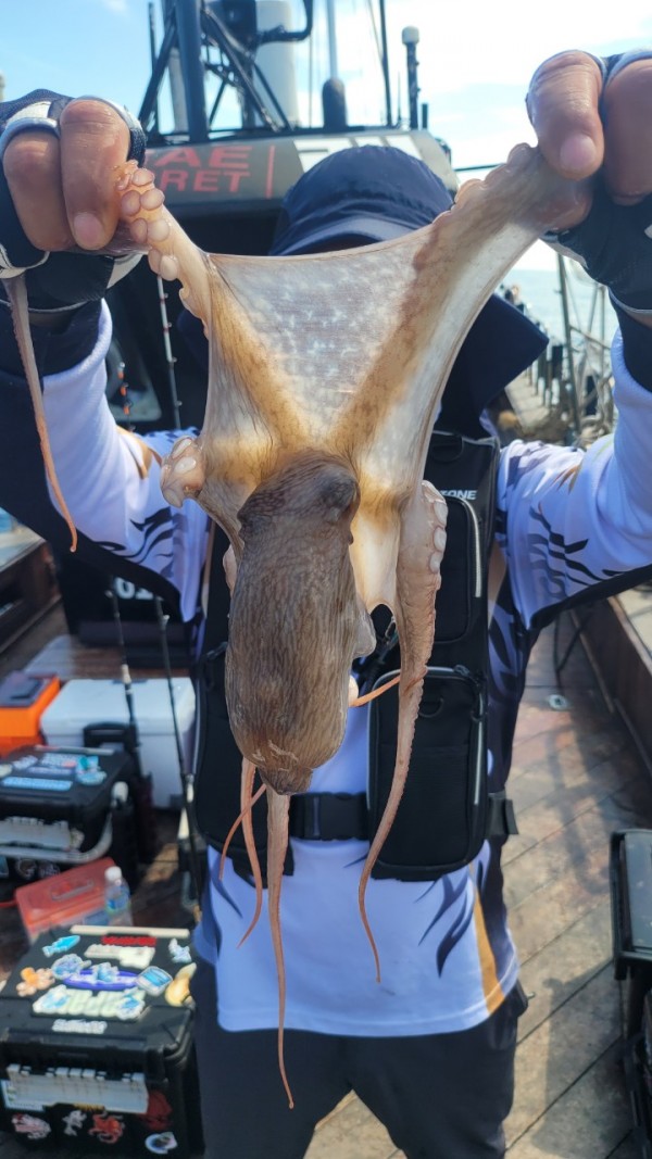 777e9e11768ed33424bed3d28028cbe0_1767519