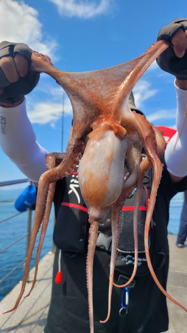 777e9e11768ed33424bed3d28028cbe0_1767519