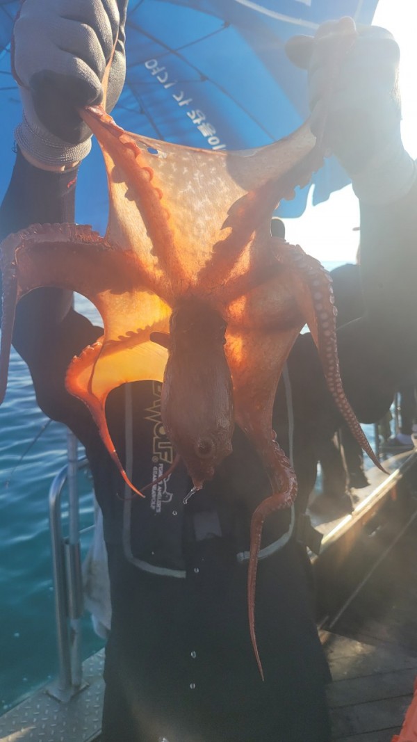 777e9e11768ed33424bed3d28028cbe0_1767519